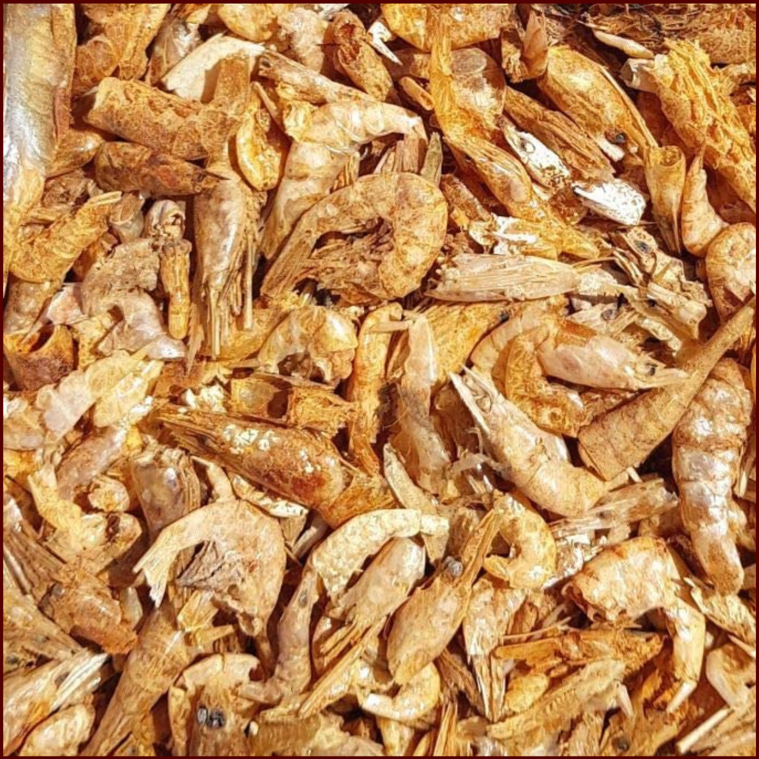 Supravit getrocknete Garnelen für Hühner & Geflügel - auch als Schildkrötenfutter geeignet - 1kg Beutel