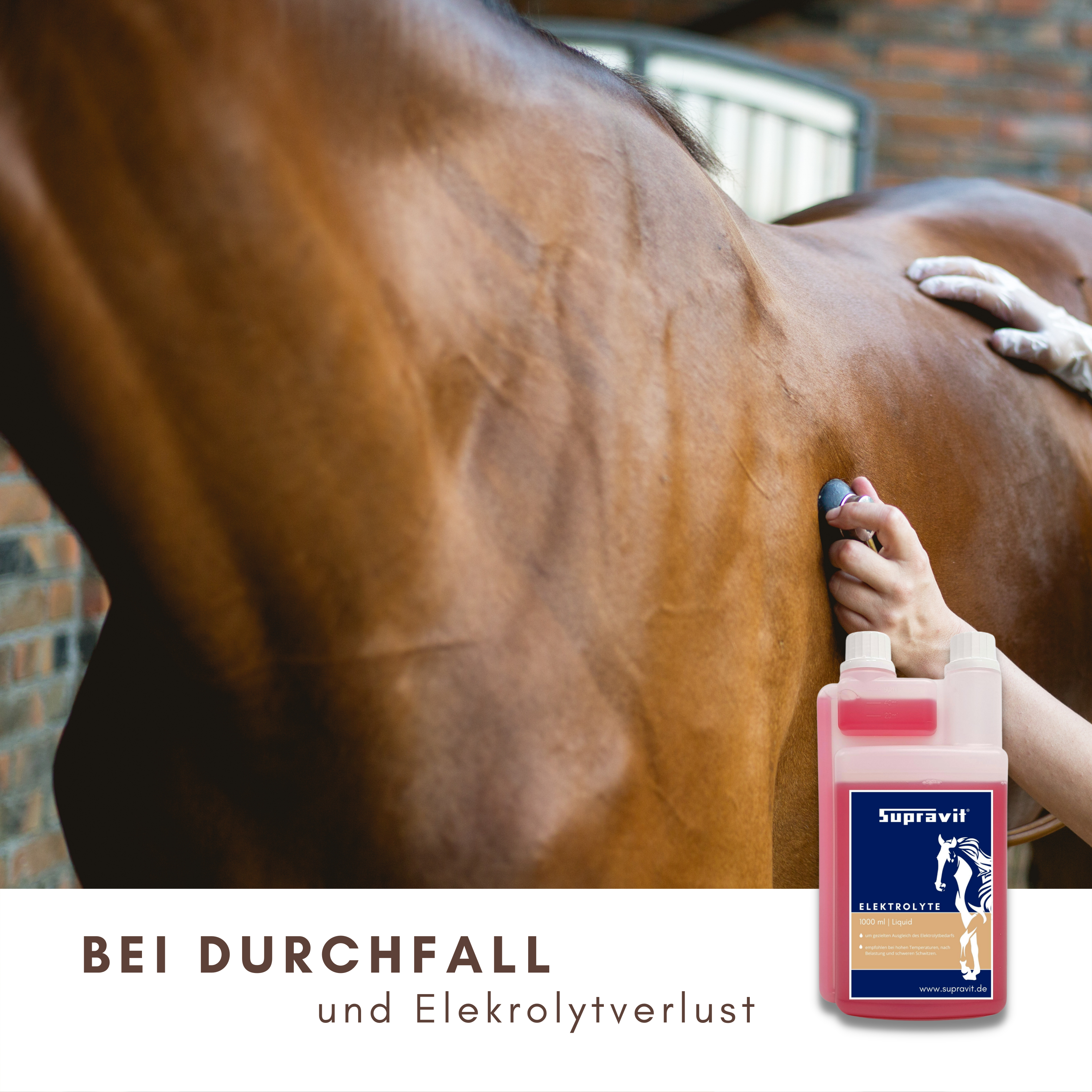 Supravit Elektrolyte für Pferde 1000ml zum Ausgleich bei starken Schwitzen, Durchfall und Elektrolyt Mangel in praktischer Dosierflasche…