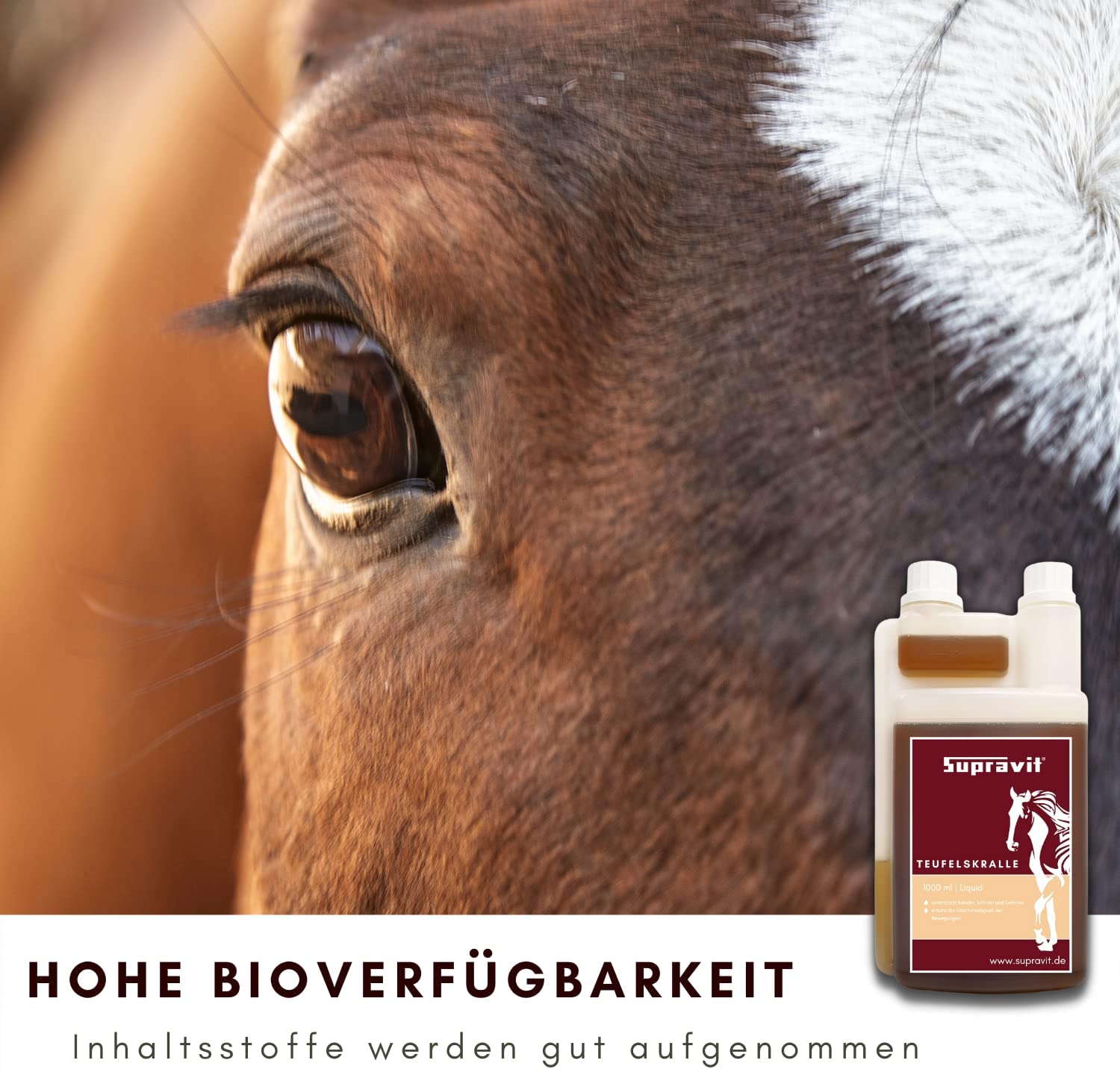 Supravit Teufelskralle Pferd 1000ml als flüssiger Liquid | Devils Claw unterstützt den gesamten Bewegungsapparat, Gelenke und Arthrose wirkt schmerzstillend und entzündungshemmend…