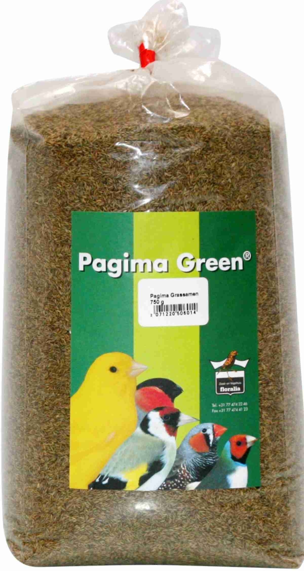 Grassamen Pagima grün 750 g