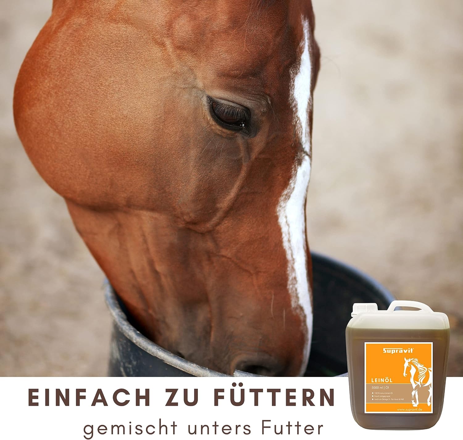 Supravit Leinöl Pferde 5 Liter & Hunde | Frisches Leinsamenöl kaltgepresst | Für glänzendes Fell | reich an Omega 3 Fettsäuren | Lein Öl unterstützt den Fellwechsel beim Pferd
